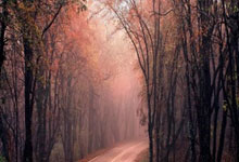 赵继伟：背水一战 我们不会放弃任何一场比赛.