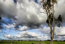 辽宁面向社会公开征集第十五届冬运会主题口号3-28 17：17.