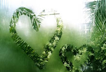 国羽多人解散粉丝群，抵制饭圈文化羊城晚报金羊网.