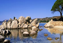 亚星体育官网：比肩传奇，B费代表曼联英超助攻50+，成为队史第6人.